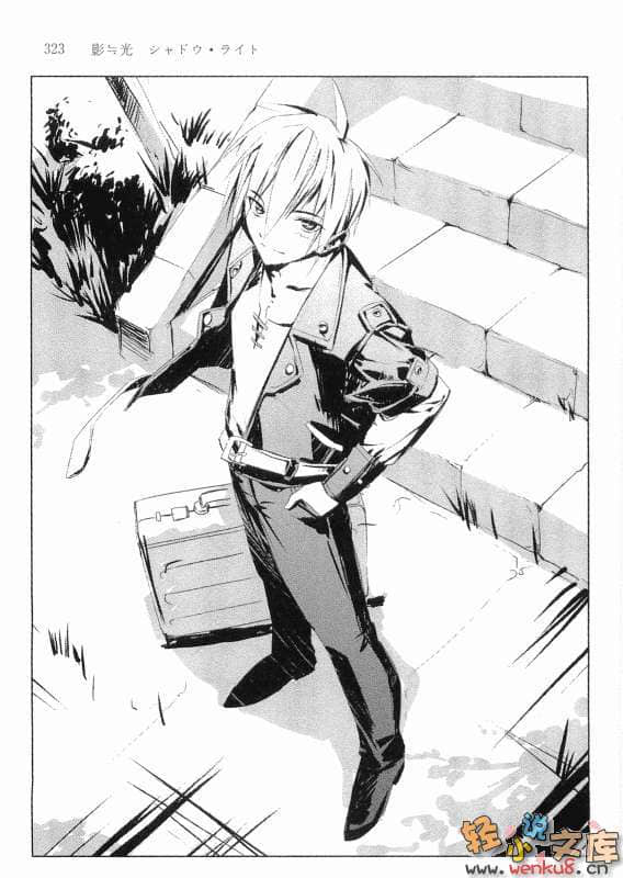影≒光 Shadow Light小说插图（6）