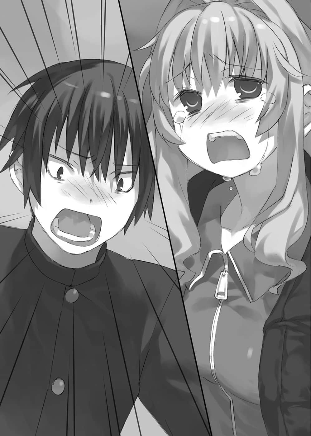 《TIGER×DRAGON！》10 插图（9）