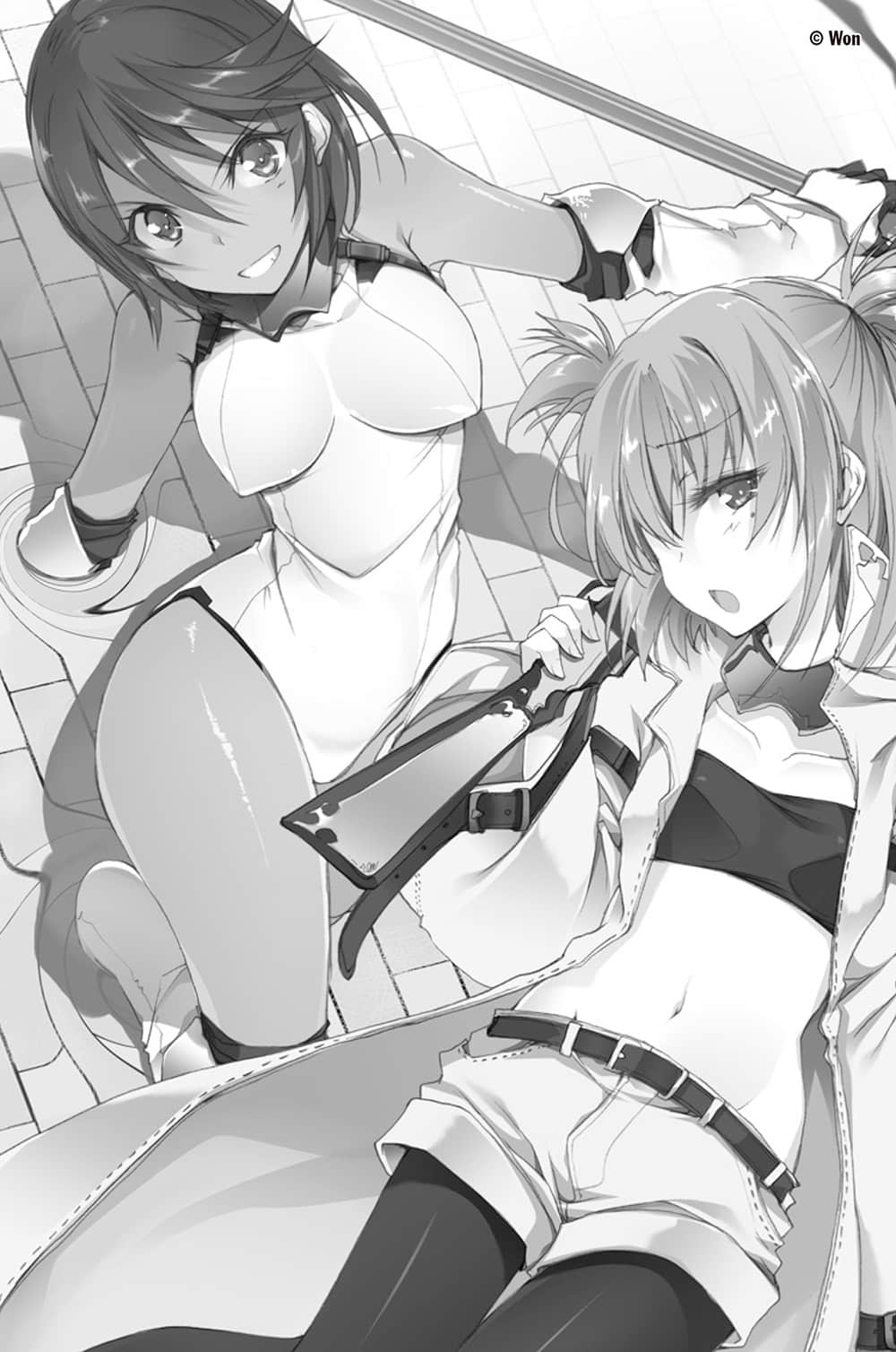 《落第骑士英雄谭》10 插图（13）