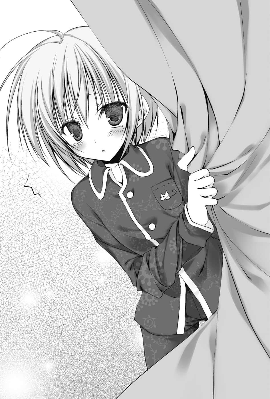 《碧阳学园会默示录》3 学生会的火种 插图（11）