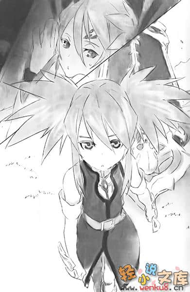 Tales of Symphonia 交响曲传奇 拉塔特斯克的骑士小说插图（24）