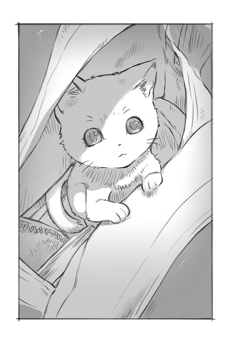 《神猫小咪与猫用品召唤师的异世界奋斗记》1 插图（6）