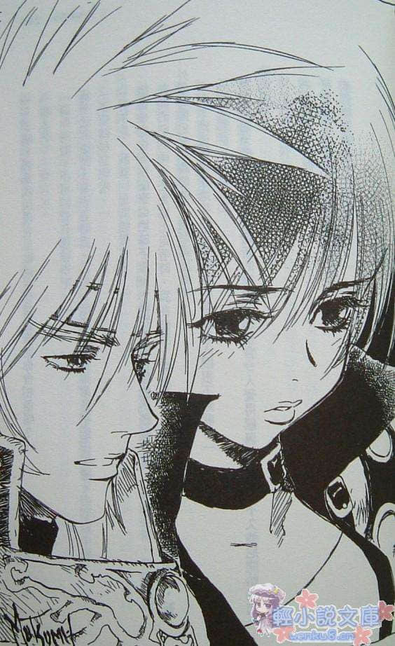 Tales of Destiny 命运传奇 命运传承者小说插图（10）