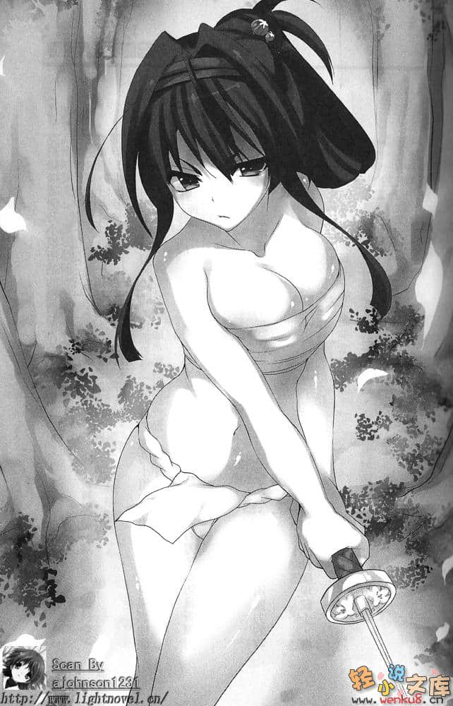 《突然成为骑士》5 插图（14）