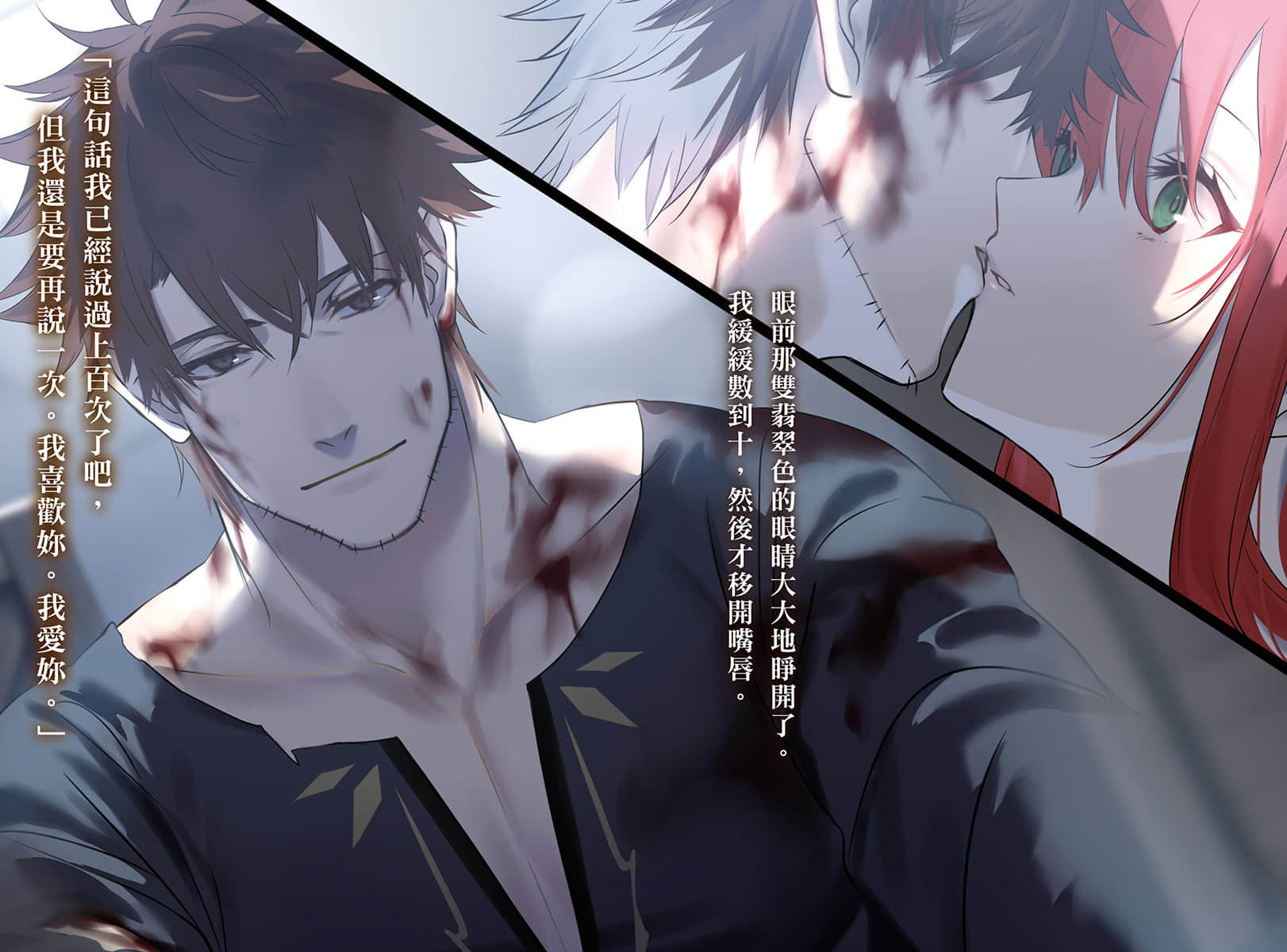 公主骑士的小白脸小说插图（43）