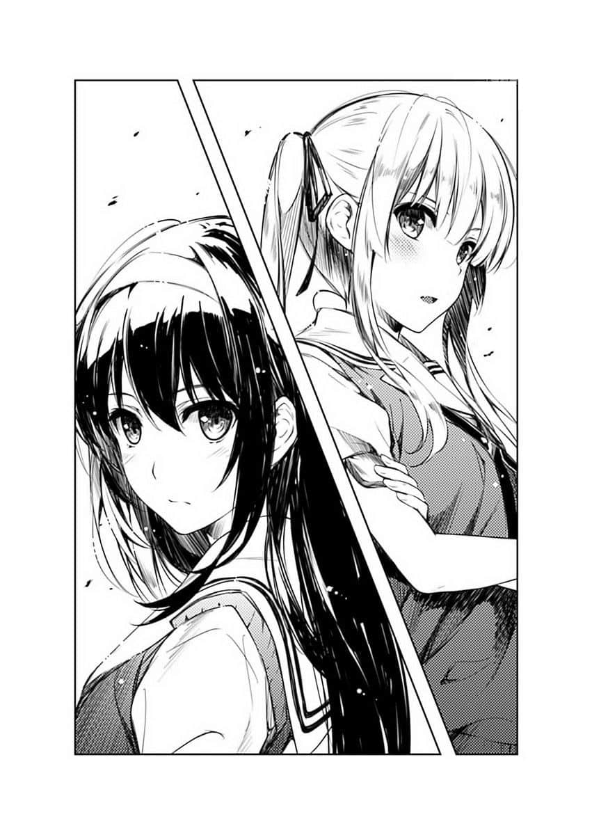 《不起眼女主角培育法》Girls Side 不起眼龙与虎相会法插图(2)