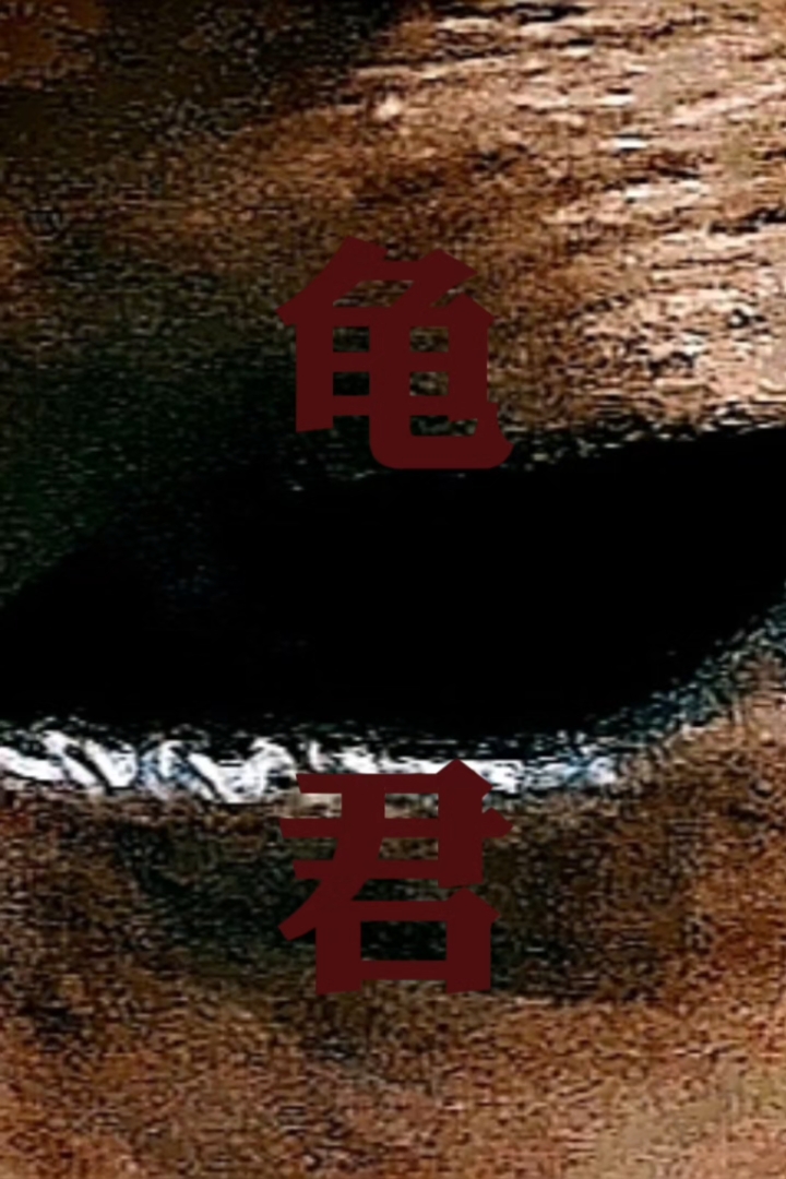 《龟君》龟君 第一章插图（1）