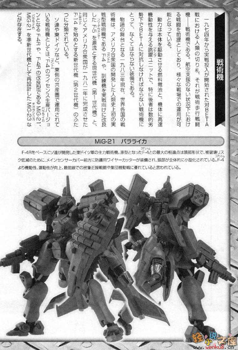 《MUV-LUV Schwarzes marken》1 插图（46）