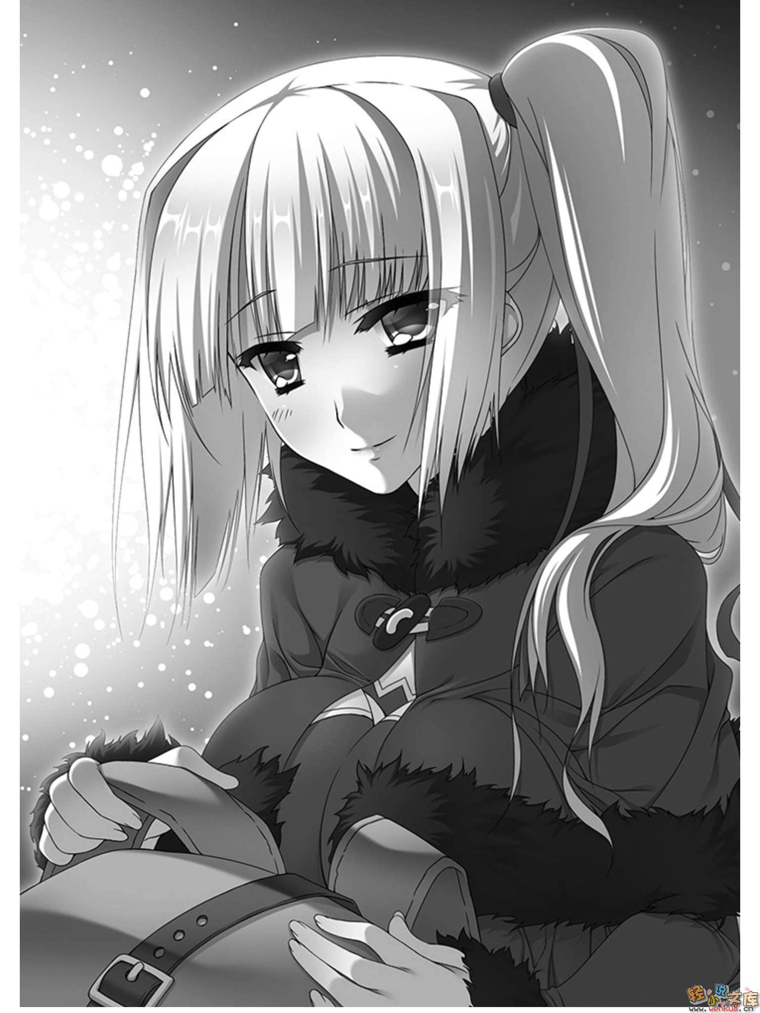 《魔弹之王与战姬》10 插图（9）