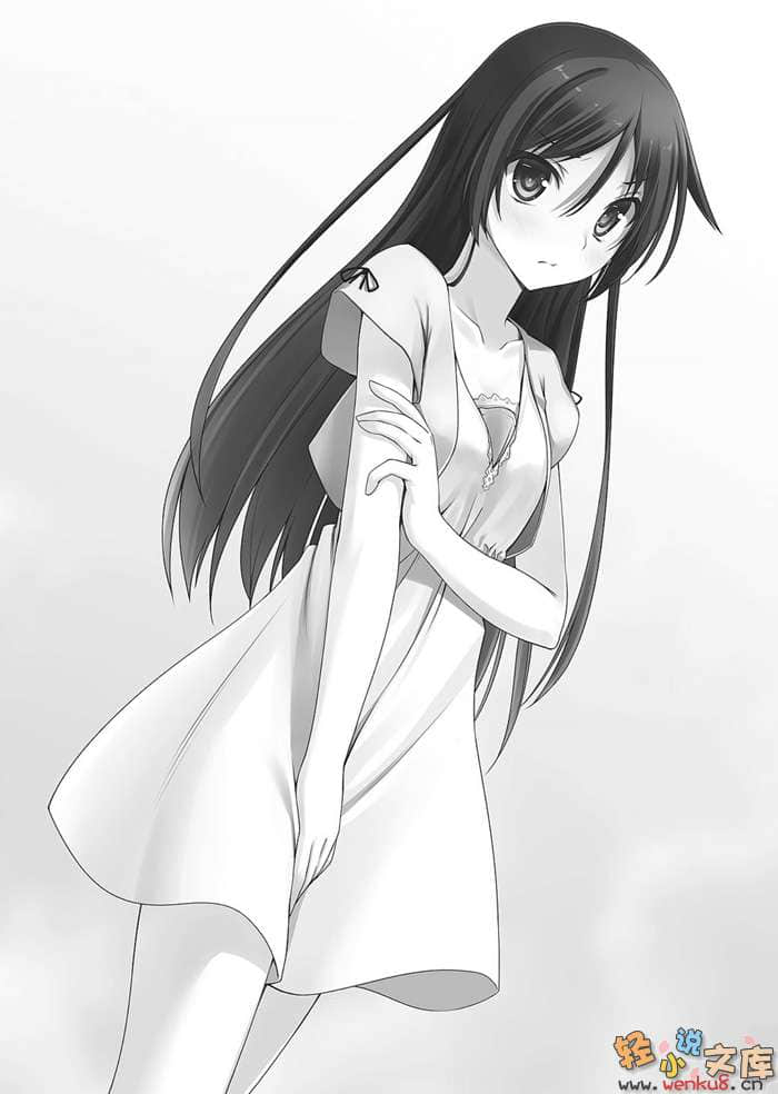 Only Sense Online 绝对神境小说插图（20）