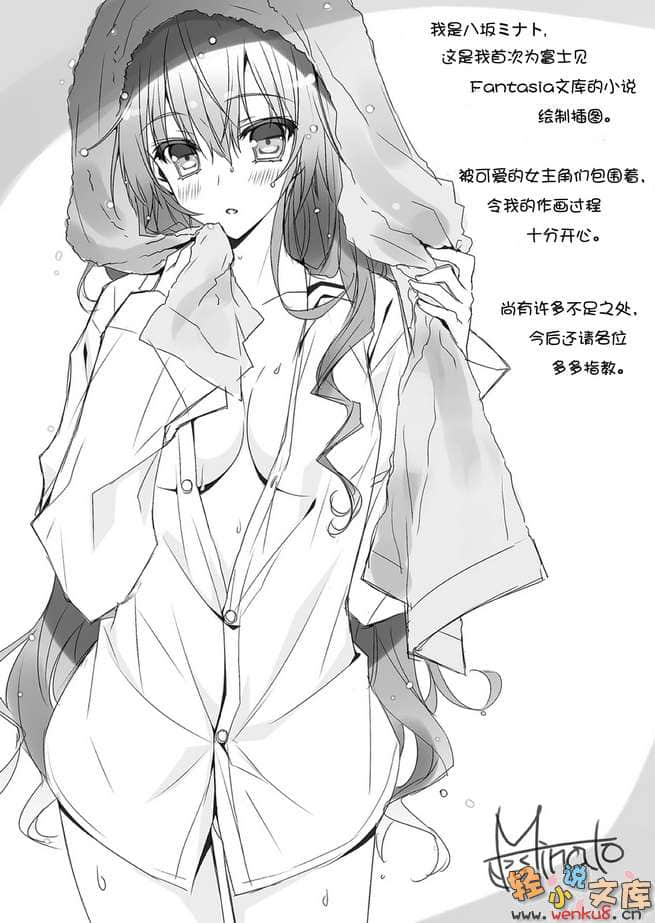 银之十字架与吸血姬小说插图（2）