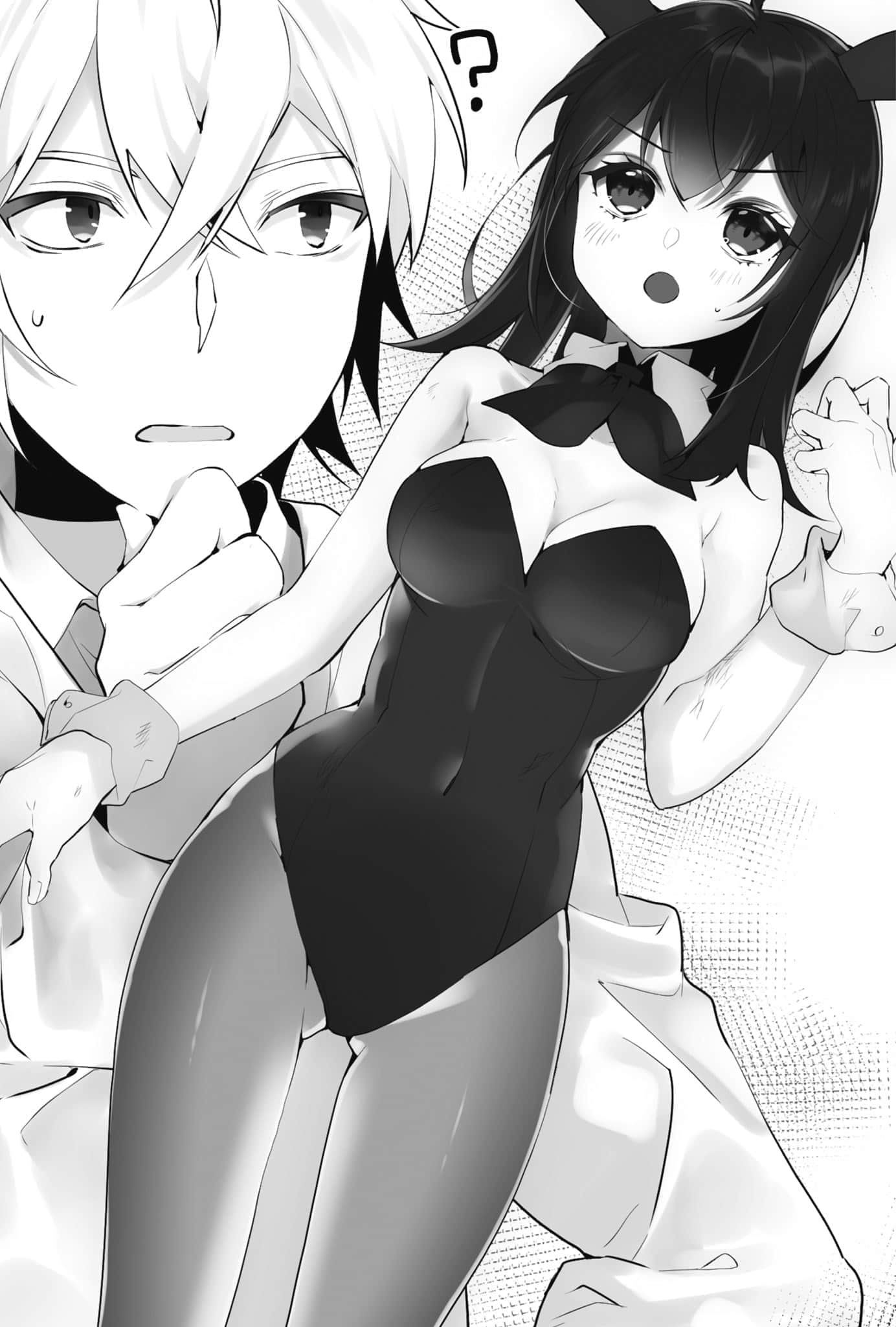 《噬血狂袭 Strike the Blood》21 十二眷兽与血之随从们 终章 Outro插图（2）
