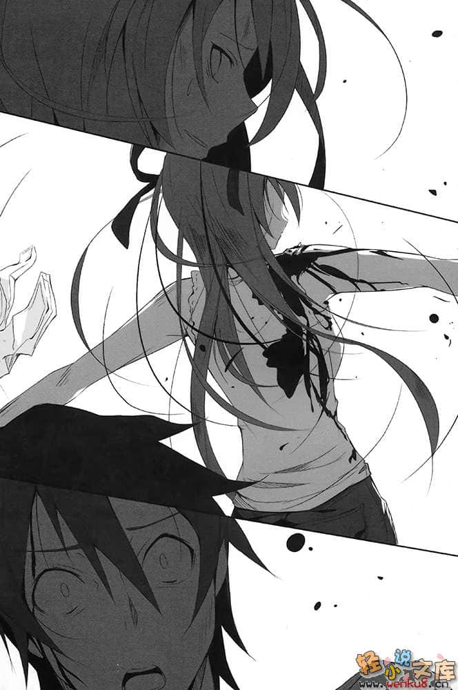 《钢音之剑》3 插图（8）