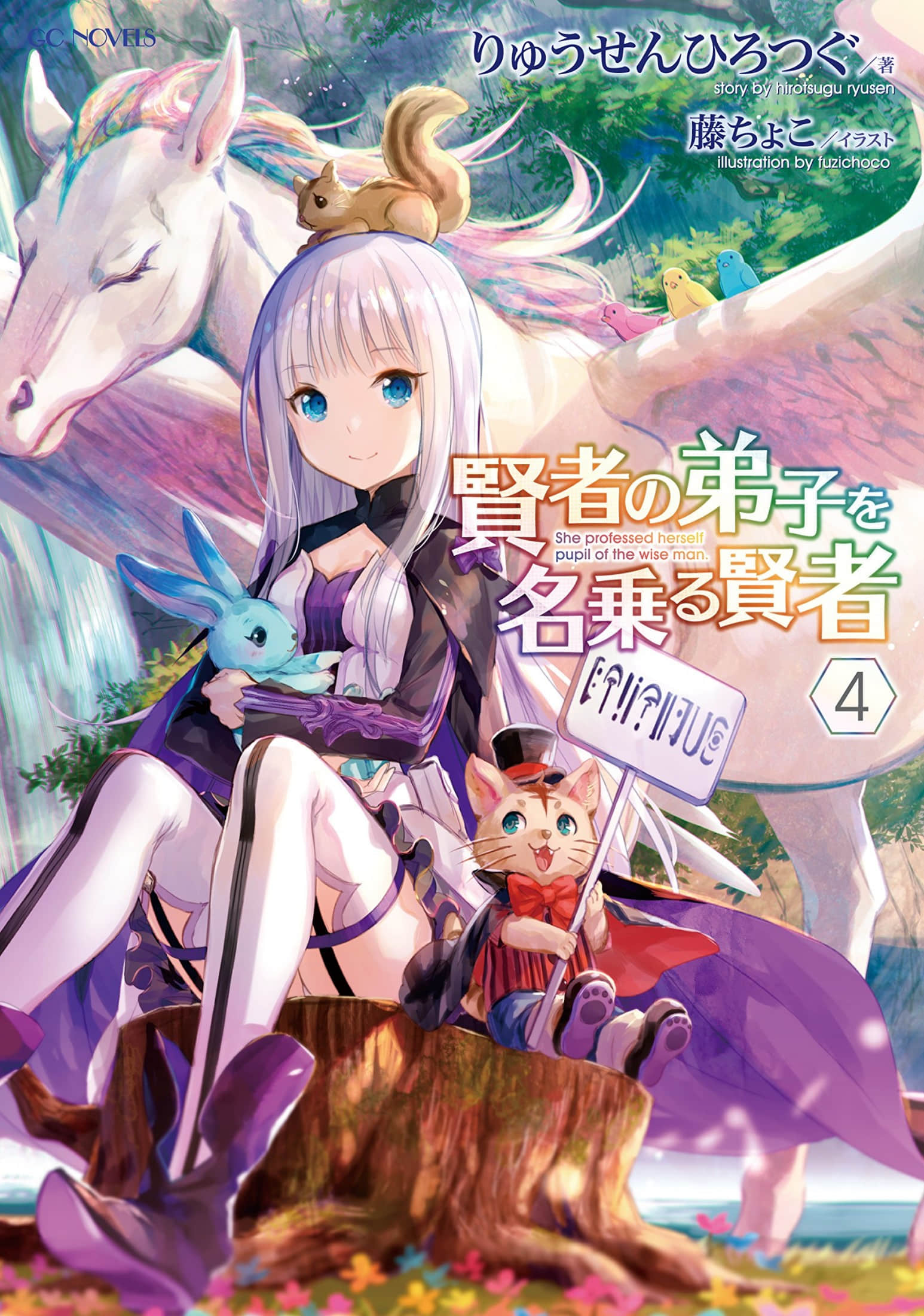 《自称贤者弟子的贤者》4 插图(1)