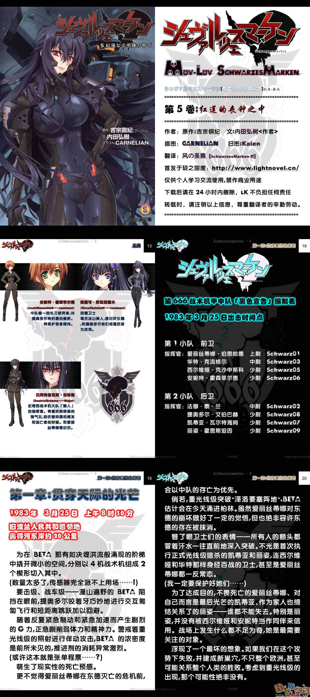 《MUV-LUV Schwarzes marken》5 插图（8）