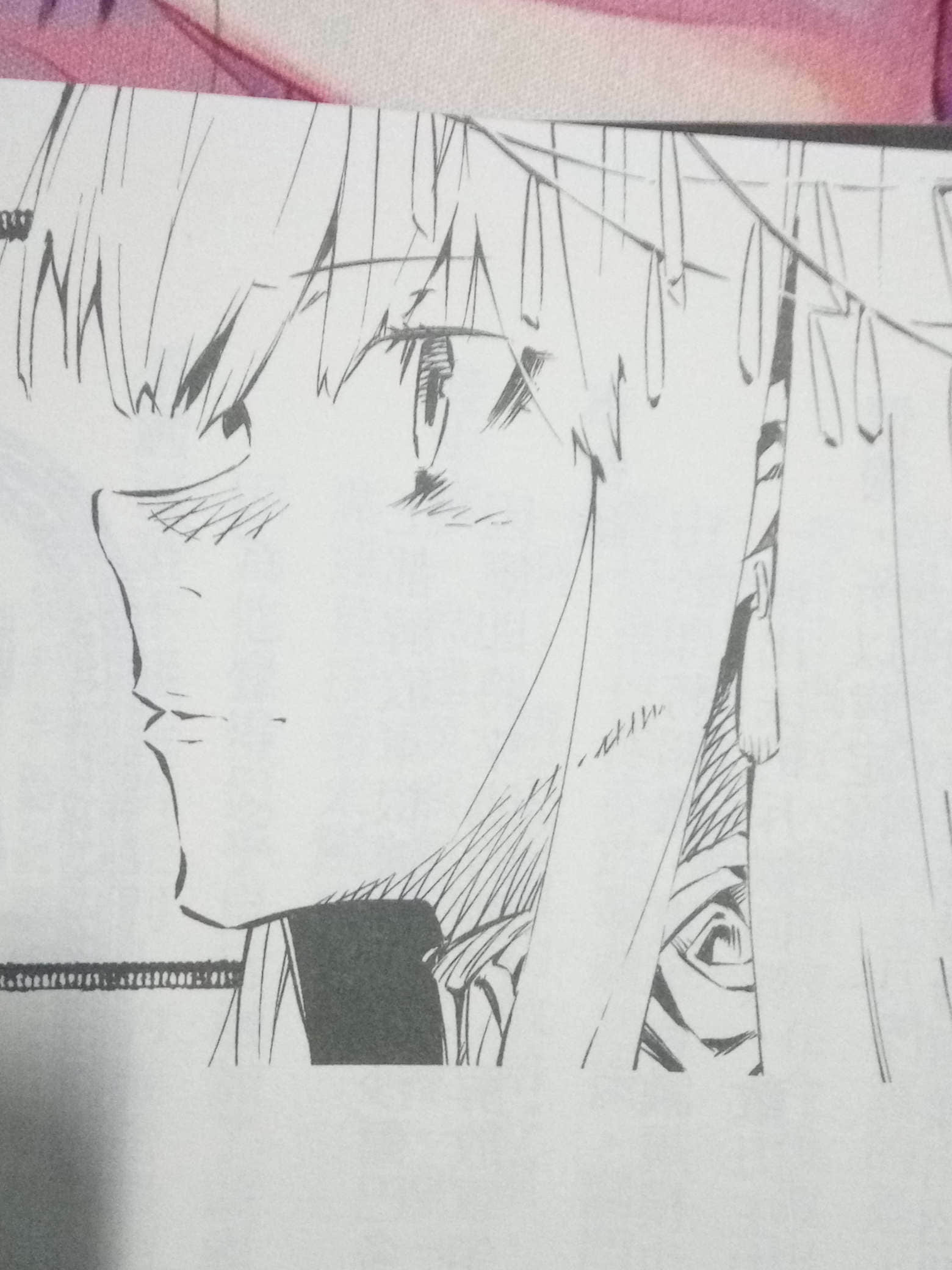 喫掉死神的少女小說插圖（12）