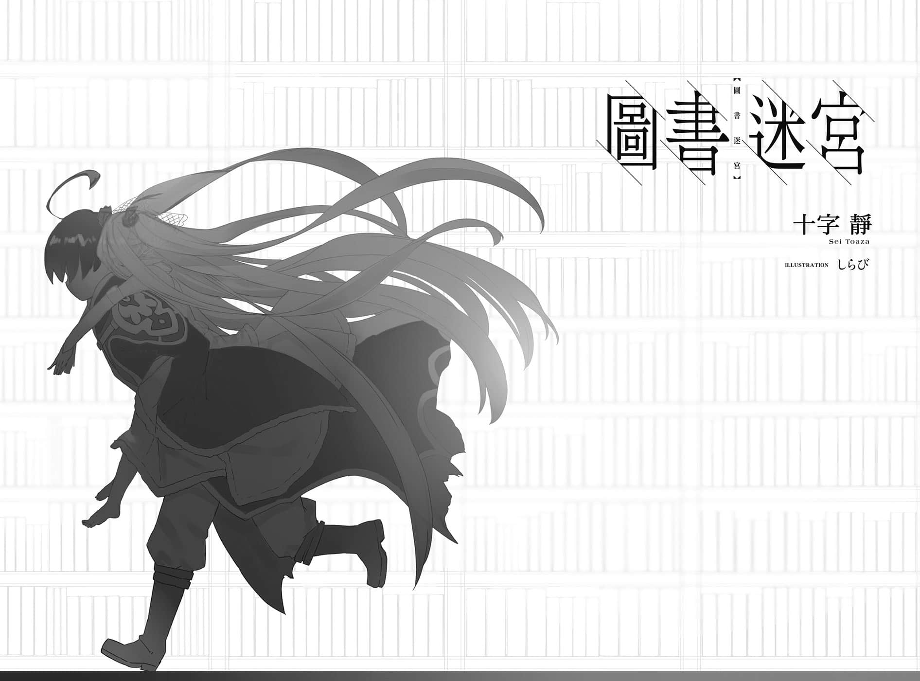 图书迷宫小说插图（23）