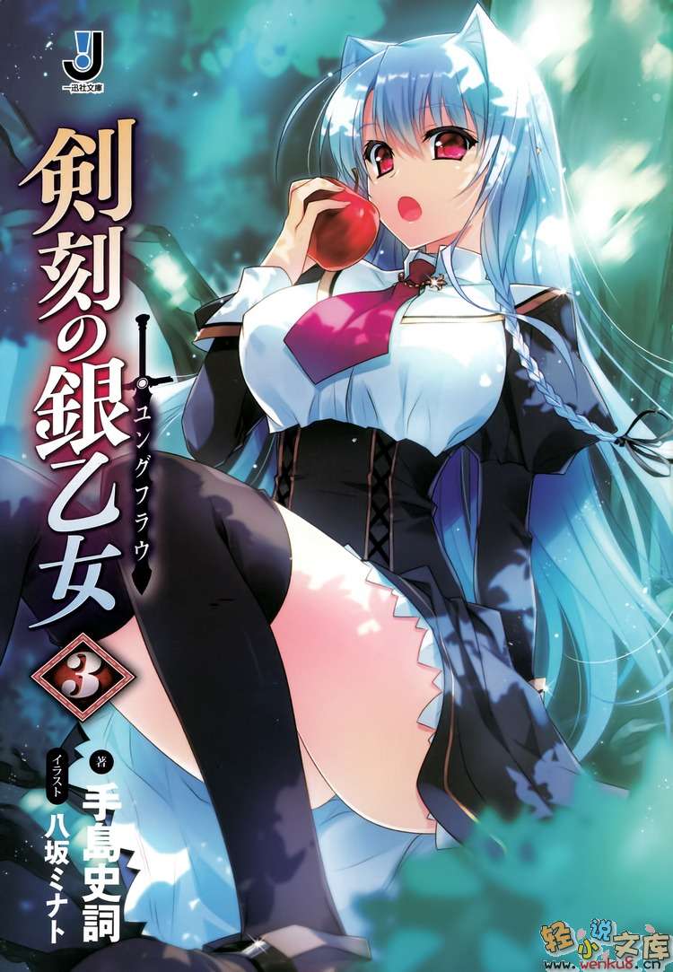 剑刻的银乙女小说插图（41）