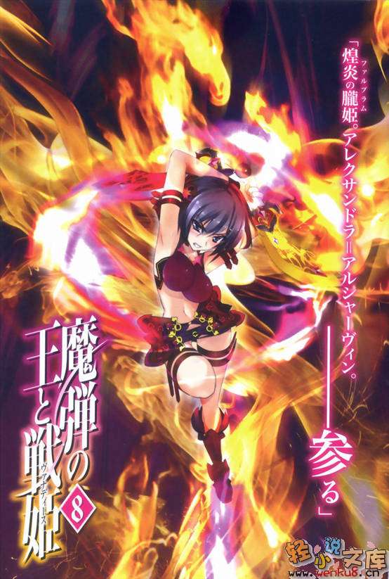 魔弹之王与战姬小说插图（87）