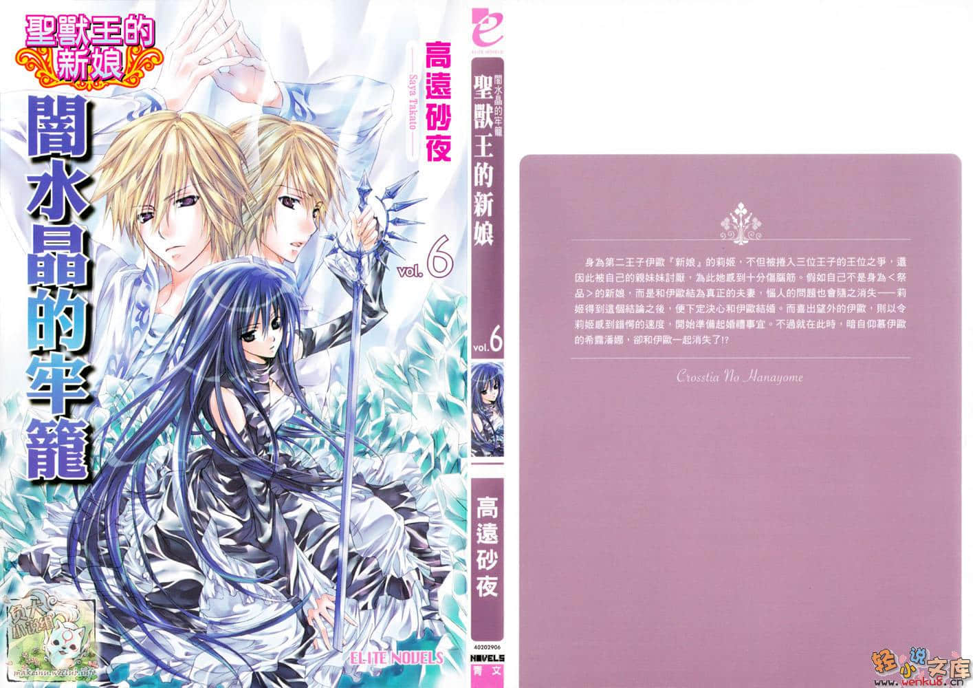 聖獸王的新娘小說插圖（41）