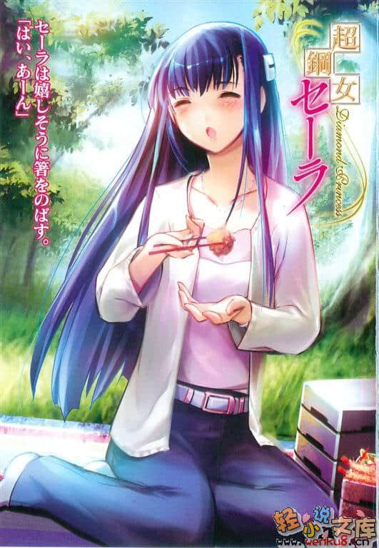 《超钢女雪拉》1 插图（2）