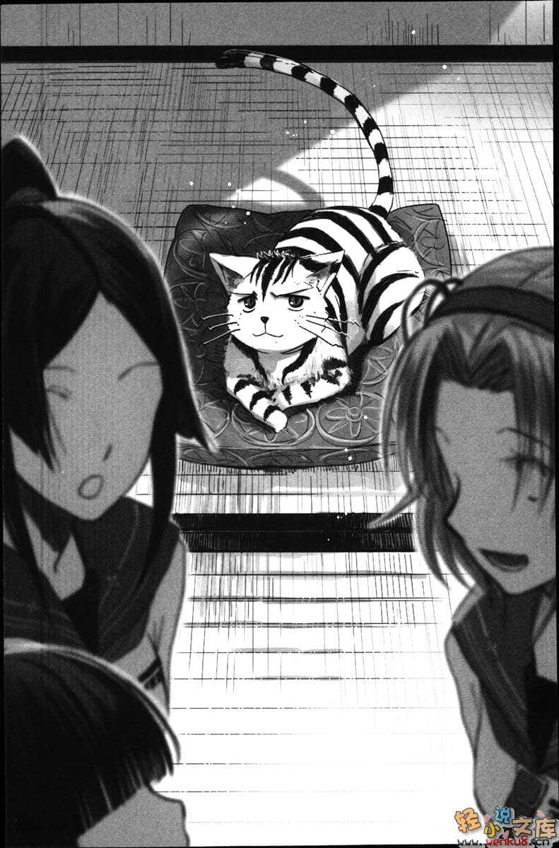《猫所不能从事的职业》2 插图（14）