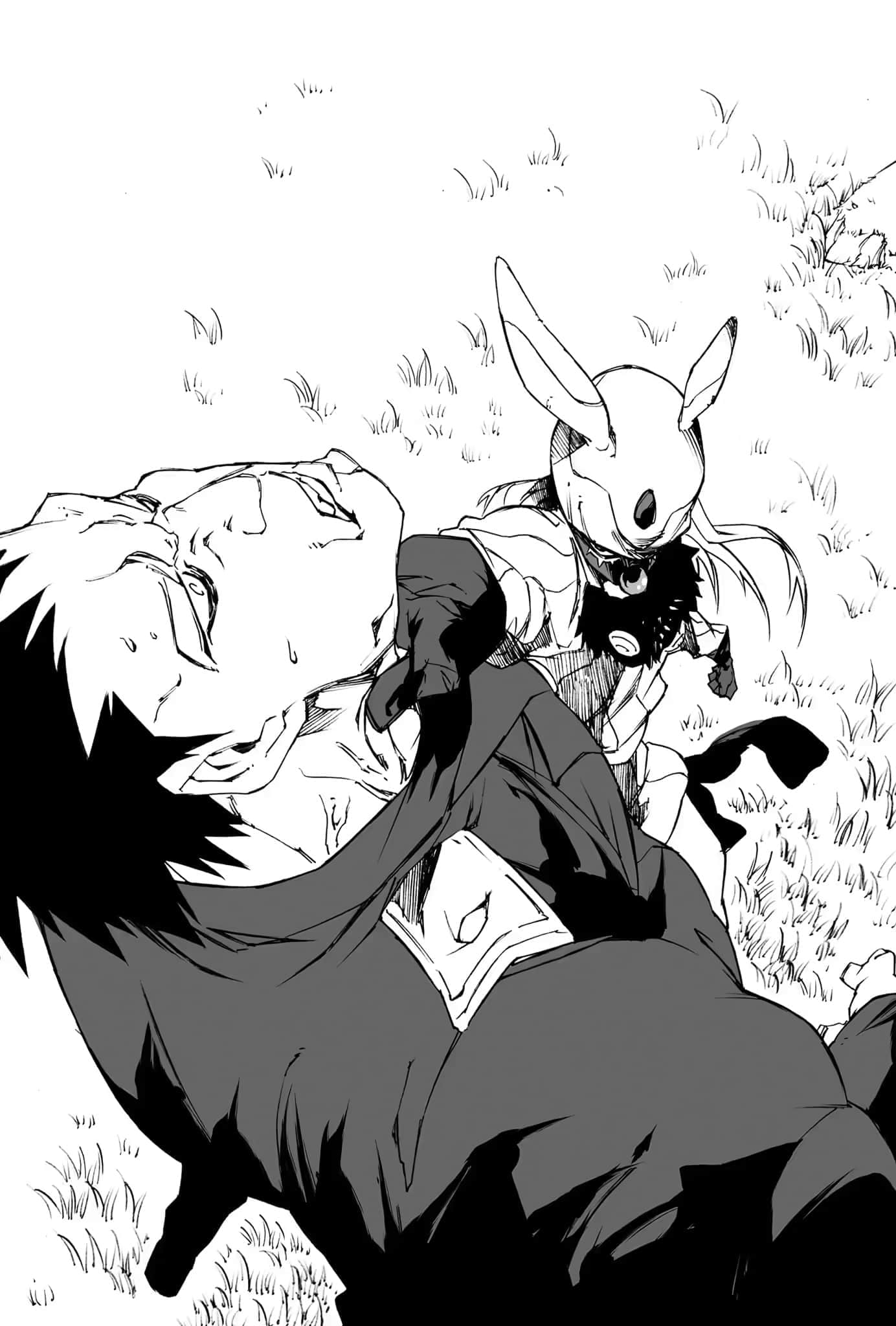 《关于我转生变成史莱姆这档事》15 插图（8）