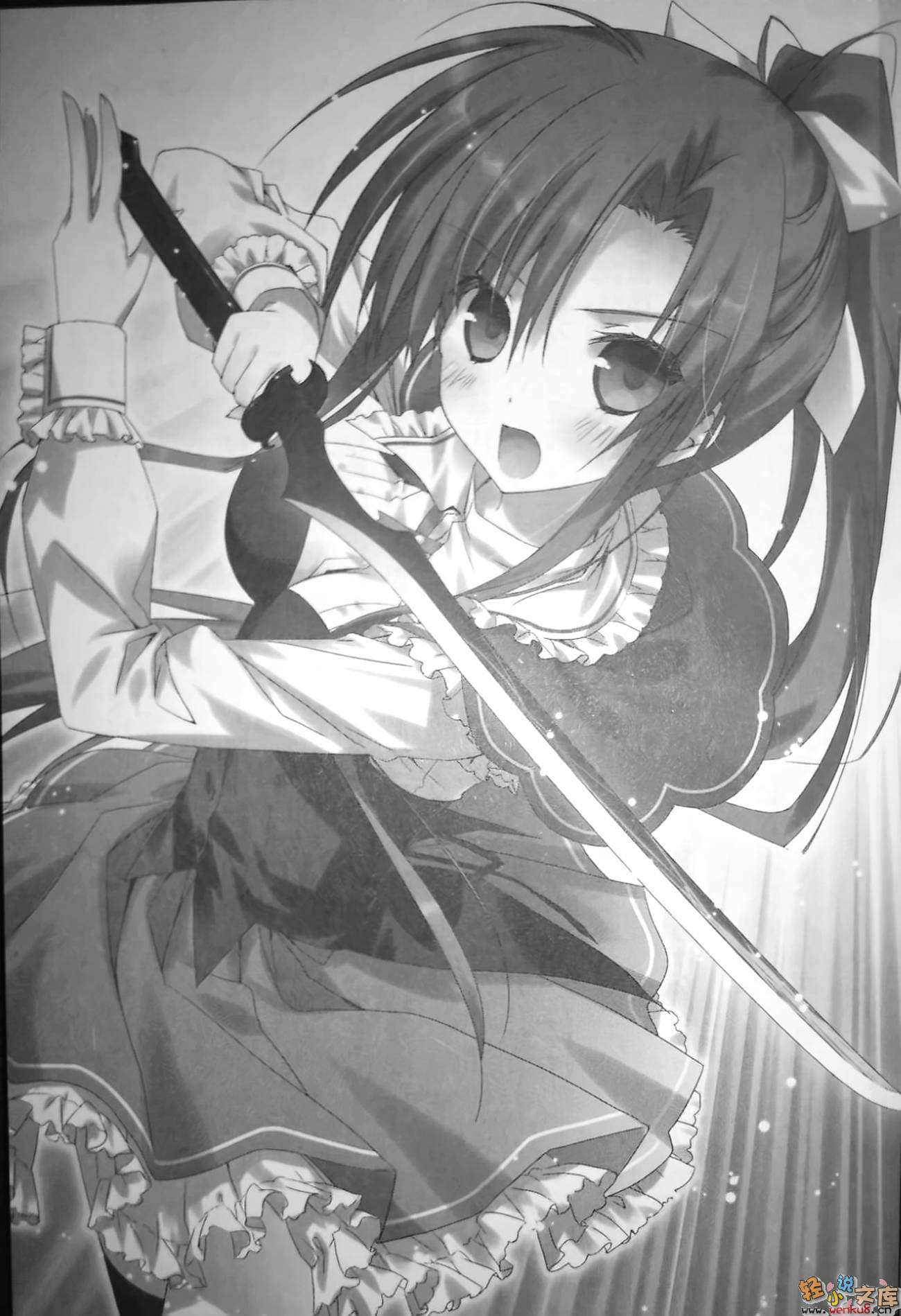 《绝对双刃absolute duo》1 告白于苍刻之夜 插图（6）