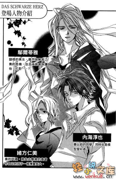 DAS SCHWARZE HERZ 黑色心脏小说插图（2）