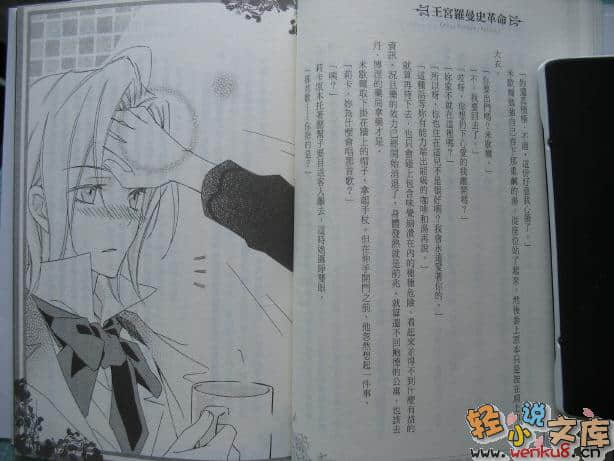 王宫罗曼史革命小说插图（46）