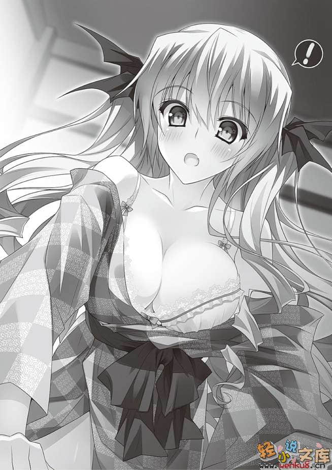 《银之十字架与吸血姬》3 插图（11）