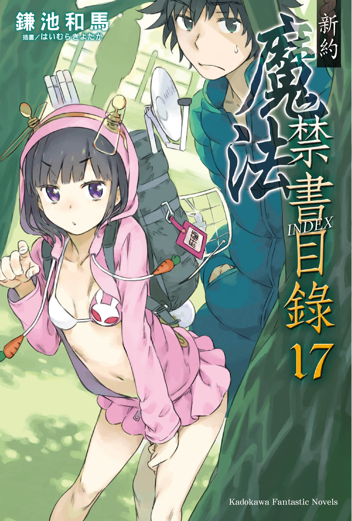 《新约 魔法禁书目录》17 插图(1)