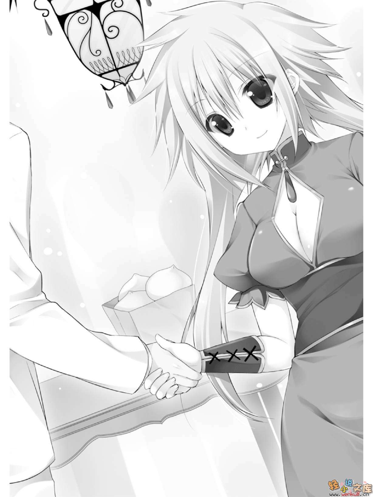 《精灵使的剑舞 - 志瑞佑》第八卷 决战前夜 插图插图（7）