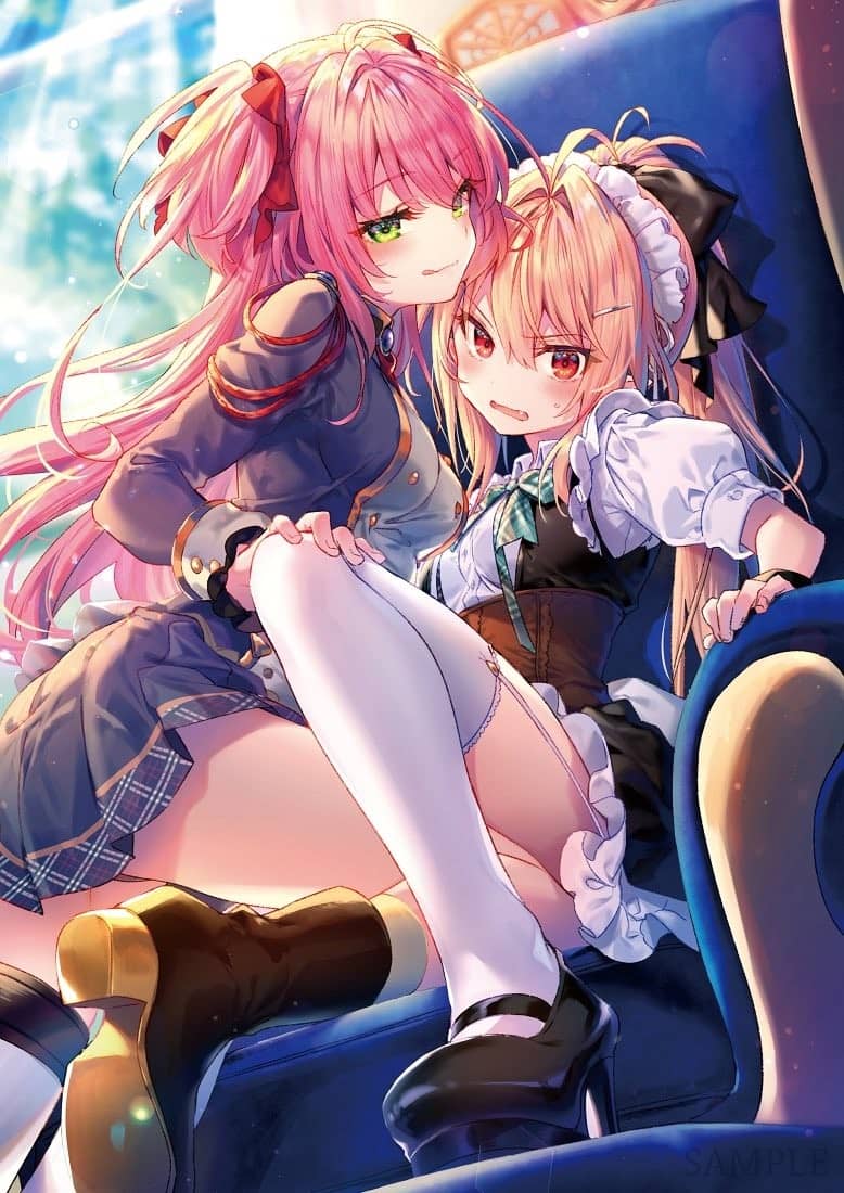 《家里蹲吸血姬的苦闷[Web版]》第三卷 封面，彩插及简介插图（4）