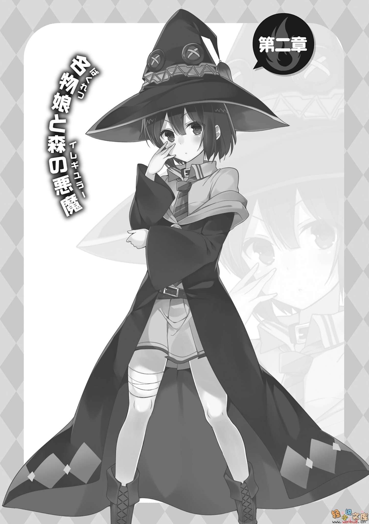 《为美好的世界献上祝福!》第六卷 六花的王女 番外3 为美好的世界献上爆焰!两人合力最强!的回合 插图插图(14)
