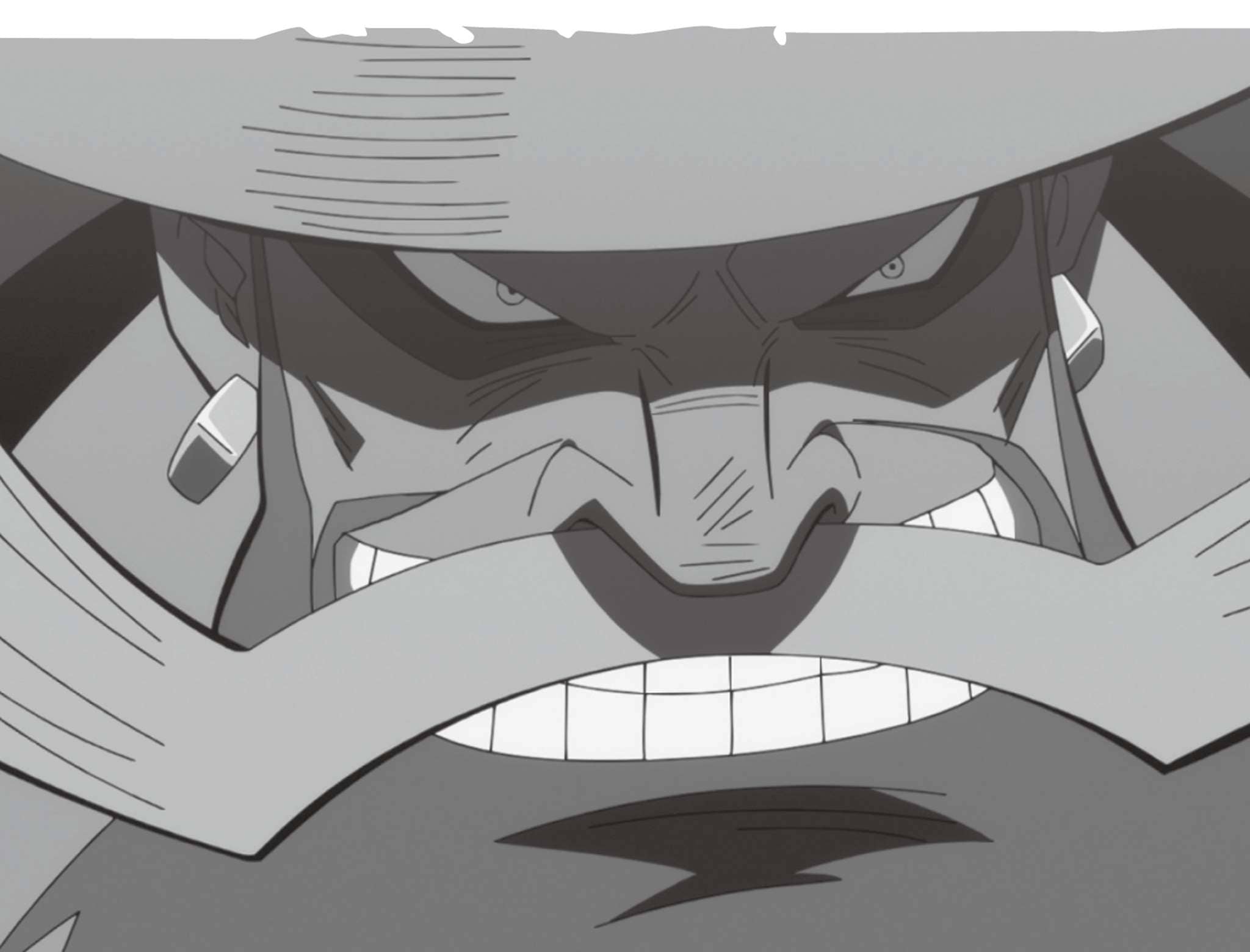 《ONE PIECE 航海王剧场版「3D2Y」跨越艾斯之死!鲁夫与伙伴的誓言!》第一卷 插图(23)
