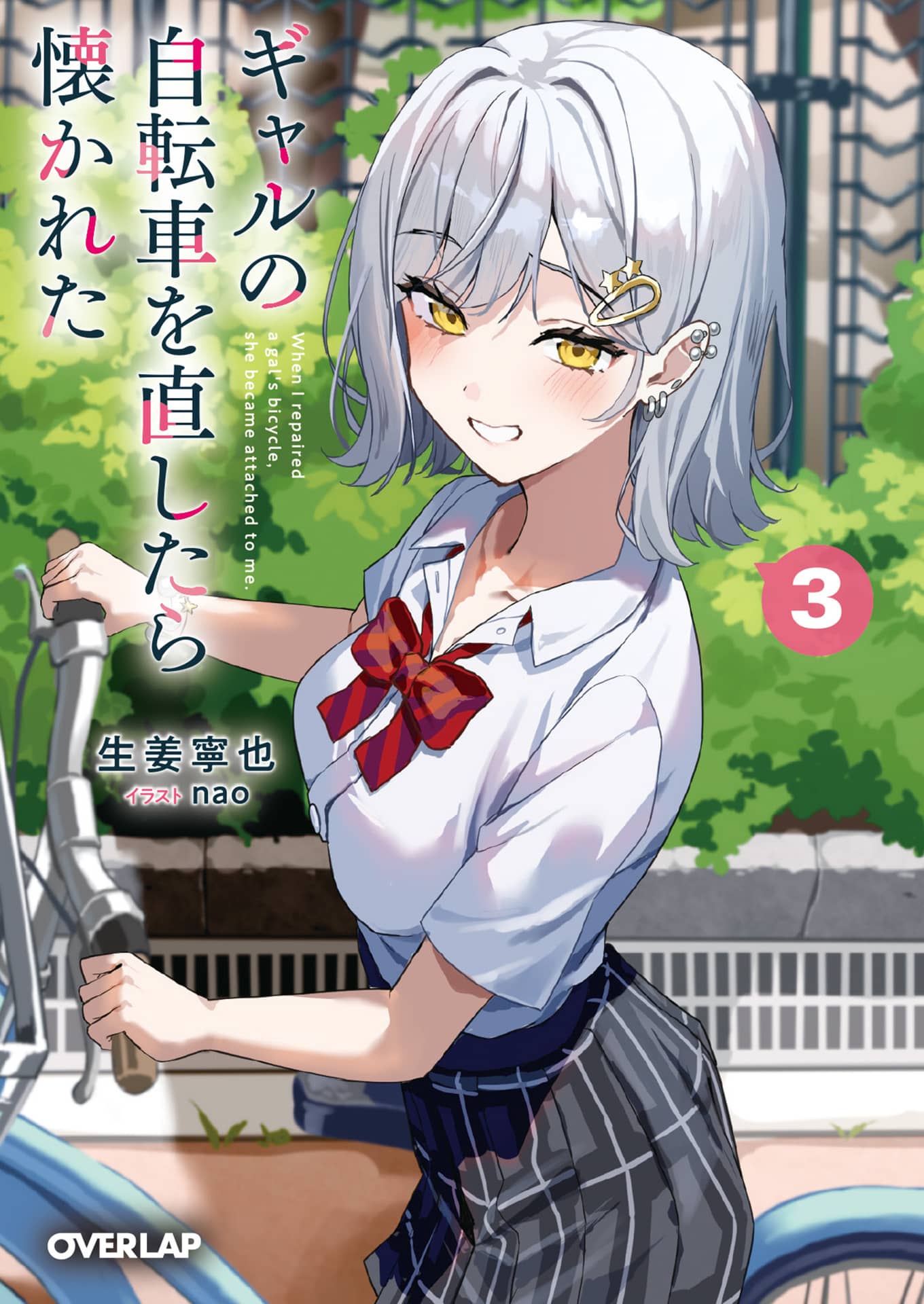 《幫辣妹修好腳踏車後，她就纏上我了》第三卷 機翻 插圖插圖（17）
