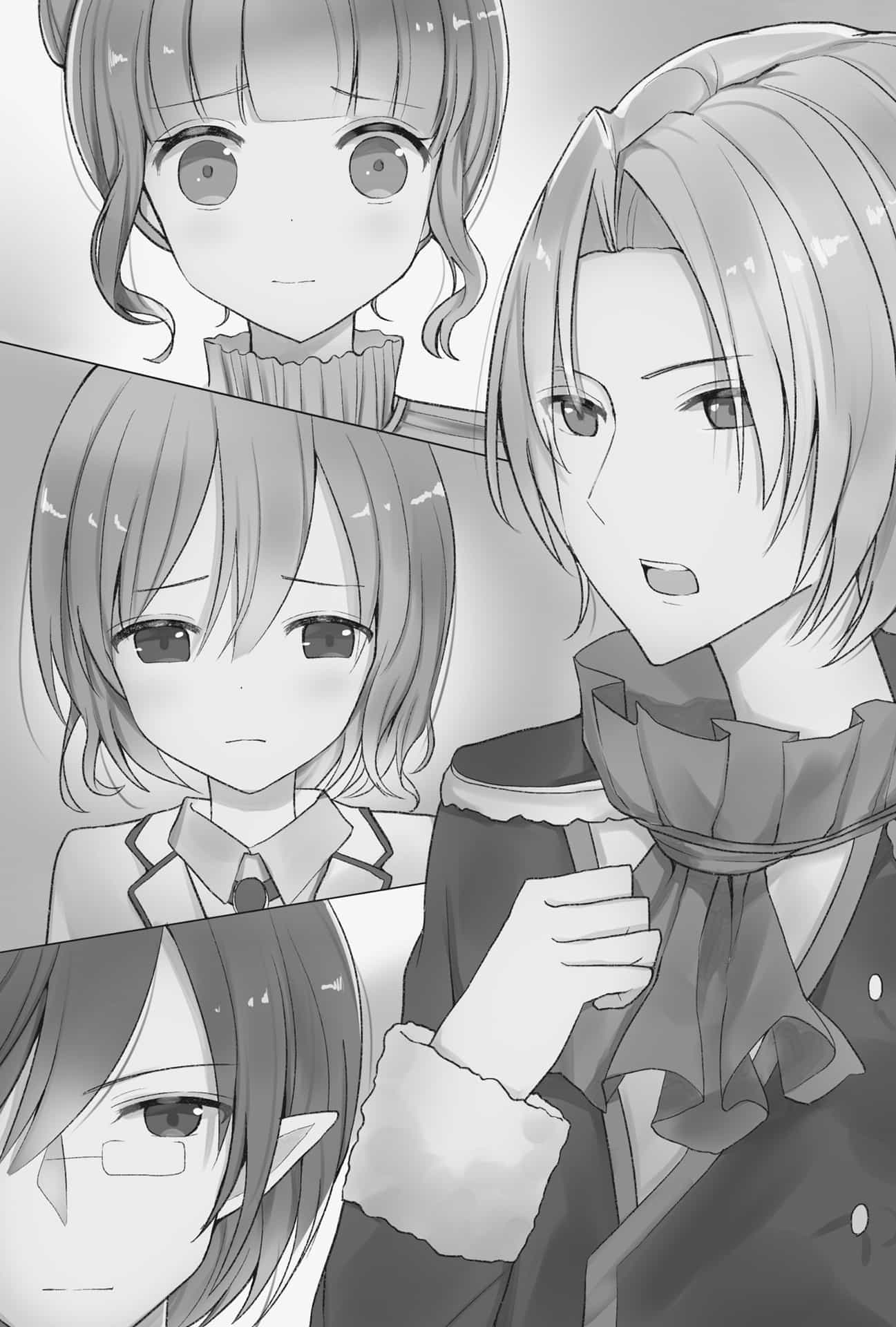 《因为转生为勇者大人的幼时玩伴这一职业的失败女主角，转换为调配师》第二卷 插图（9）