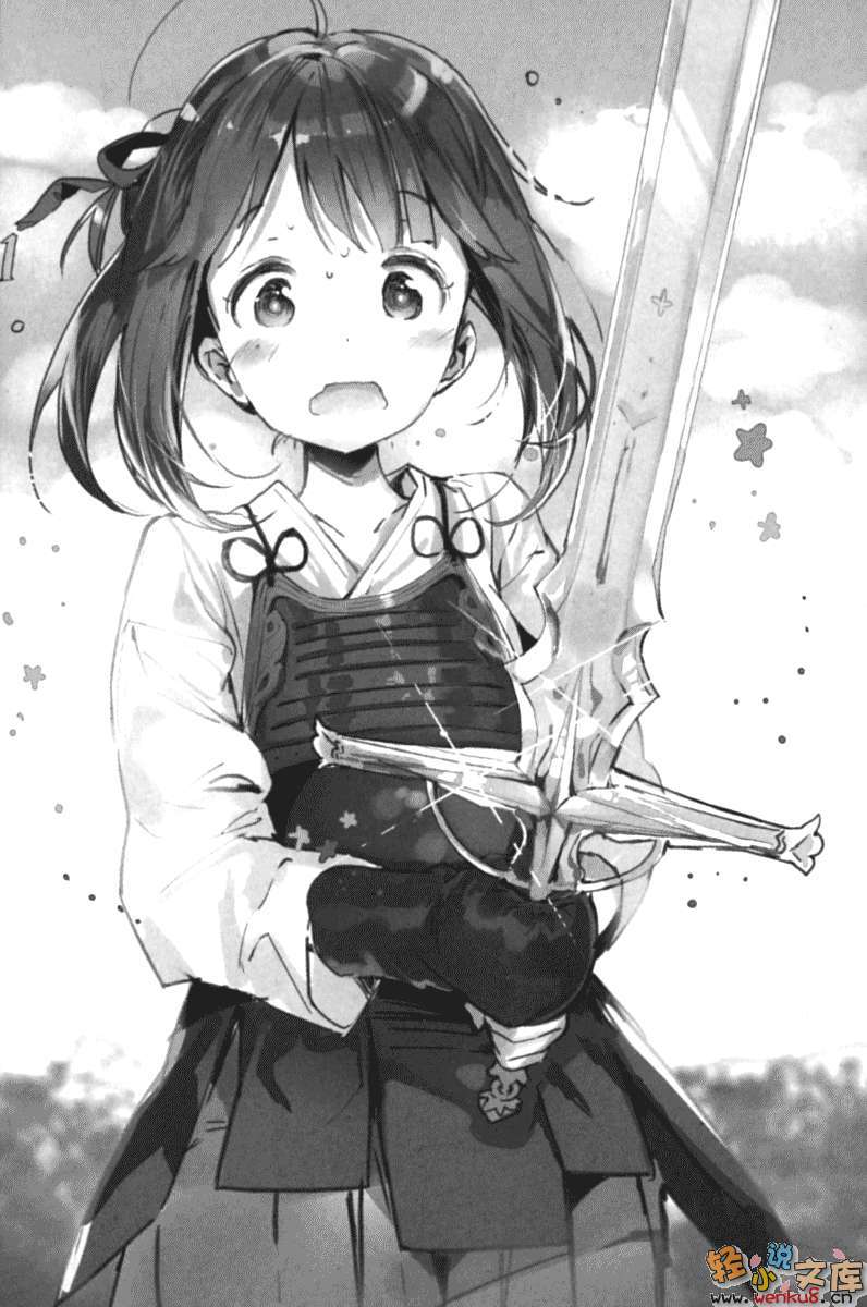 《渣渣捡了圣剑的结果》第一卷 插图（13）
