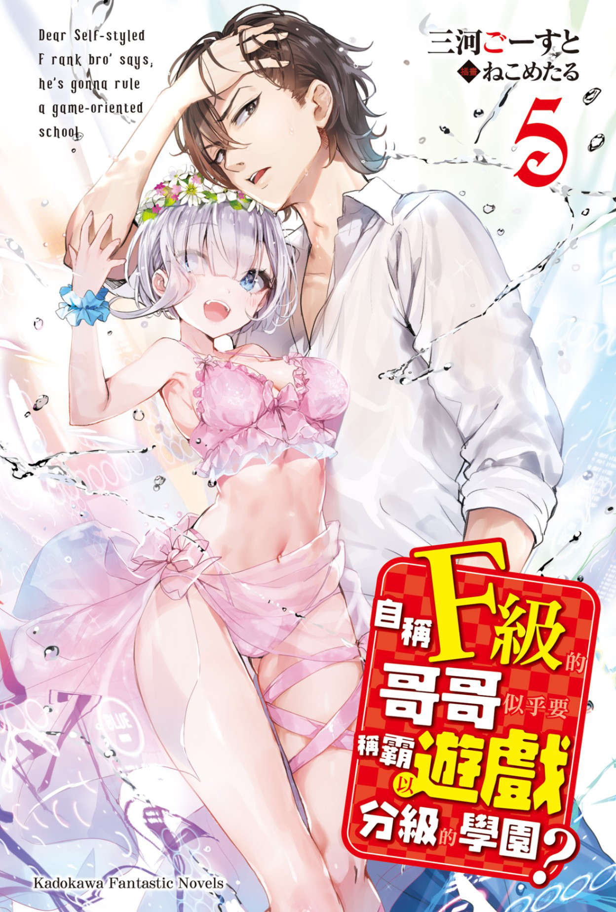 《自稱F級的哥哥似乎要稱霸以遊戲分級的學園?》第五卷 插圖（2）