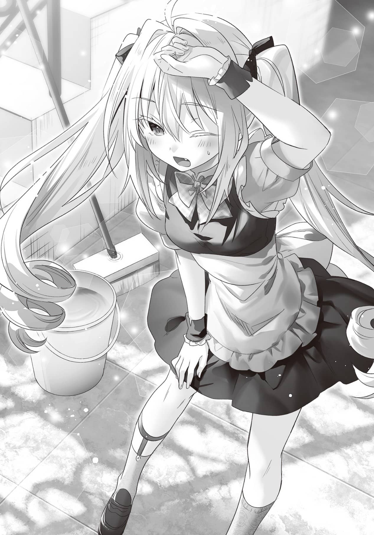 《家里蹲吸血姬的苦闷[Web版]》第八卷 [2] 女仆与巫女姬-4插图（1）