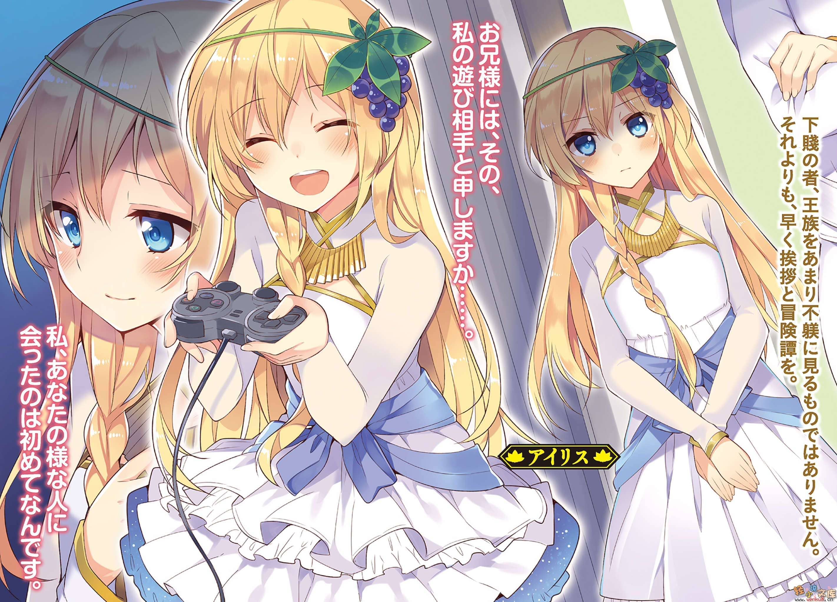 《为美好的世界献上祝福!》第六卷 六花的王女 插图（2）