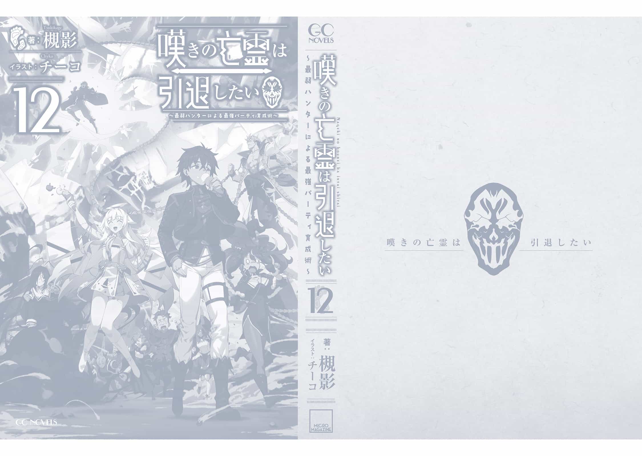 《叹气的亡灵想隐退》第十二卷 插图(3)