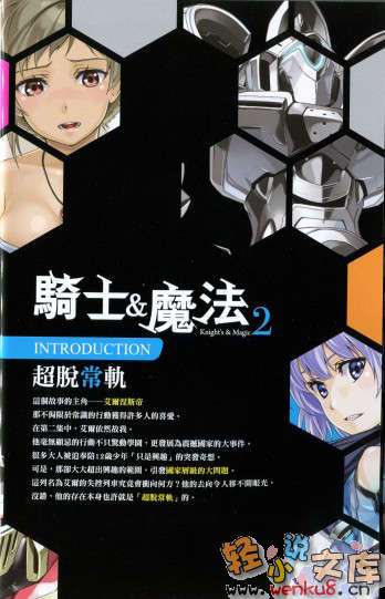 《騎士&魔法》第二卷 插圖（6）